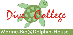 Logo Dive College