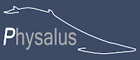 Logo physalus